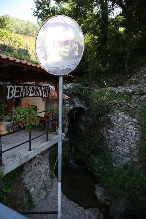 A Ca Du Barbijun Βίλα Pieve di Teco Εξωτερικό φωτογραφία